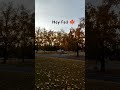 Hey Fall 🍁