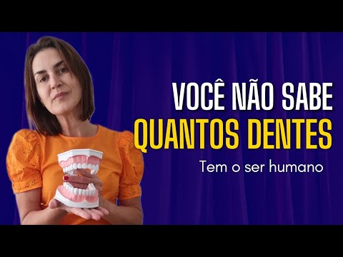QUANTOS DENTES TEM NA BOCA DO SER HUMANO?