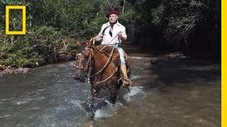 Horses and Solitude: Inside the Life of a Brazilian Gaúcho | Short Film Showcase