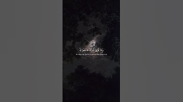 #السعودية #الشيخ_ياسر_الدوسري #تلاوة_خاشعة #اكتب_شي_تؤجر_عليه #القرآن_الكريم 🕌 🌿 📿