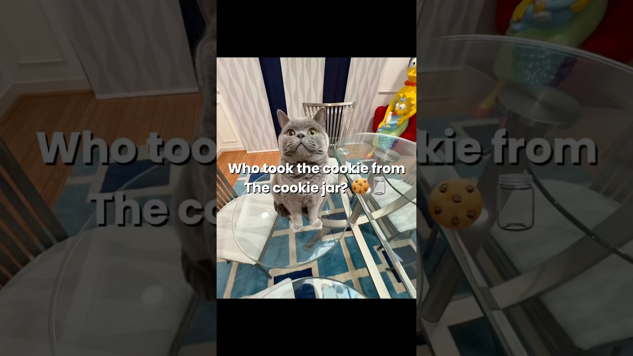 VECTORRRR!! 🧡🤩 