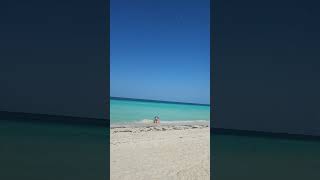 Tryp Cayo Coco beach,, Saturday February 17th/2024 #travel   #gregtv