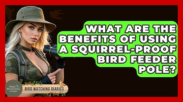 What Are The Benefits Of Using A Squirrel-Proof Bird Feeder Pole? - Bird Watching Diaries