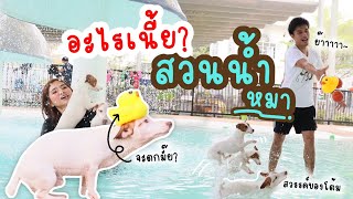 ร้อนมาก!! ลูกสุนัขลงสระน้ำครั้งแรก - สวนน้ำหมา Doquabistro | หมาติดรีวิว