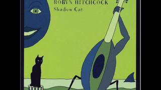 Watch Robyn Hitchcock For Debbie Reynolds video