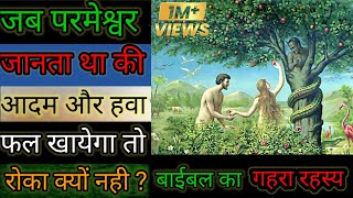 आदम और हवा को परमेश्वर फलखाने से रोका क्यो नहीWhy didn't God stop Adam and Eve from eating the fruit screenshot 2