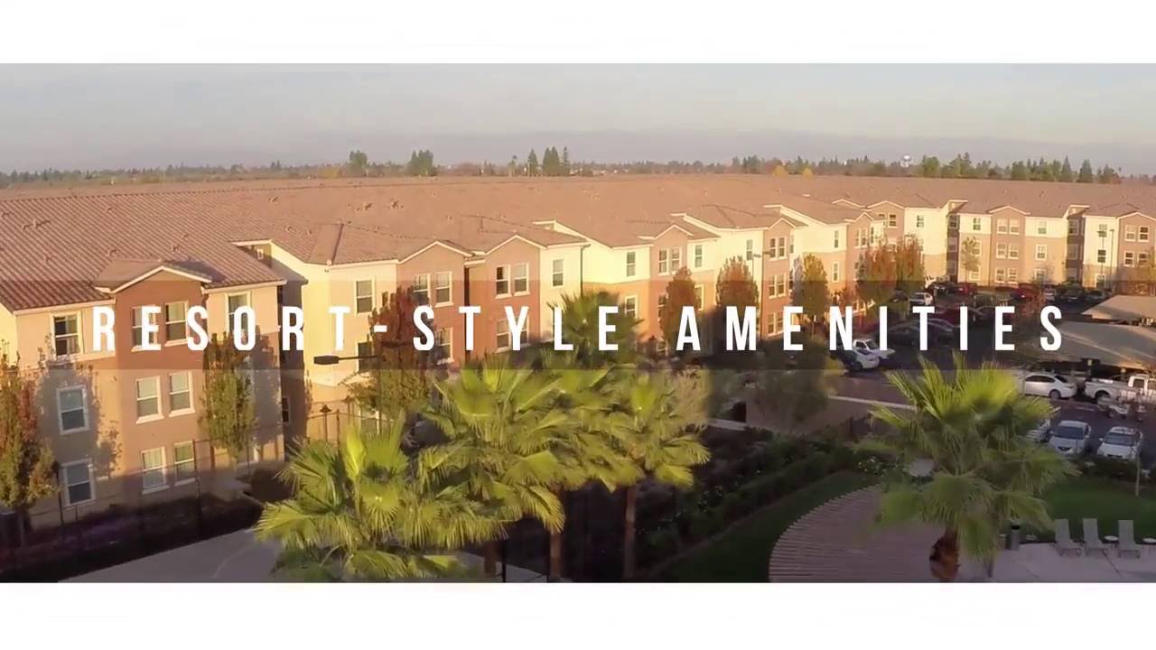 Palazzo At Campust Pointe You Palazzo At Campust Pointe