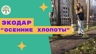 Осенние хлопоты