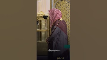 ألم نشرح لك صدرك - تلاوة مميزة