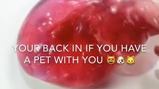 In Or Out Slime Game!
Are you in or out?
I really enjoyed making this vid!
Comment down below if you enjoyed it too! In Or Out Slime Game!