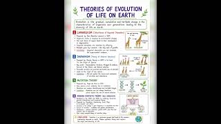 🌿 THEORIES OF EVOLUTION OF LIFE ON EARTH 🌿Lamarckism • Darwinism • Mutation Theory • Neo-Darwinism
