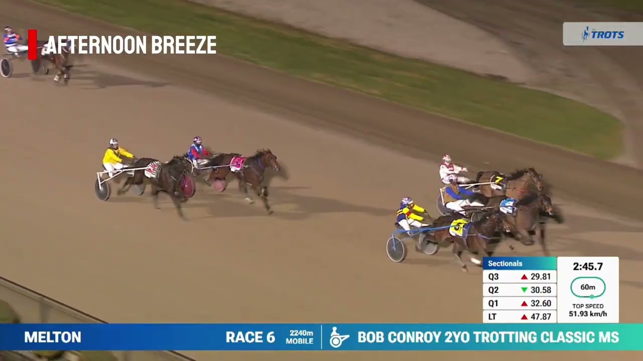 CLASSIC CONNECTION winners | YDF Stallions