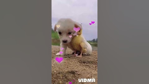 يوم تجزي كل نفس بما كسبت#لا ظلم اليوم#القارئ #خالد_الجليل #تلاوه_خاشعه #قران_كريم #قرآن#مصر#السعودية