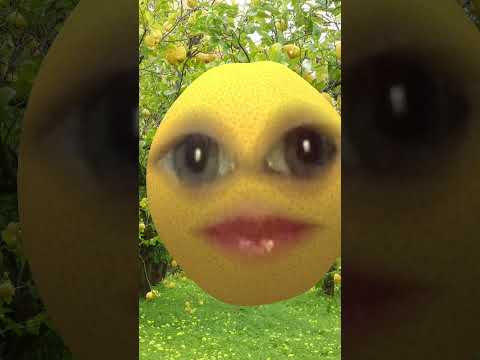 ما ينكره حبوبو يخبل جنه لابوبو
