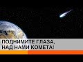 Вы еще успеваете увидеть комету Neowise. Следующий раз – через 6 800 лет — ICTV