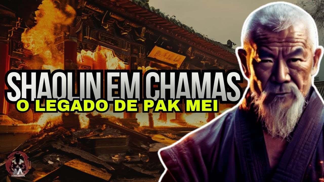 Pak Mei Kung Fu: Velocidade Imbatível, Precisão Letal