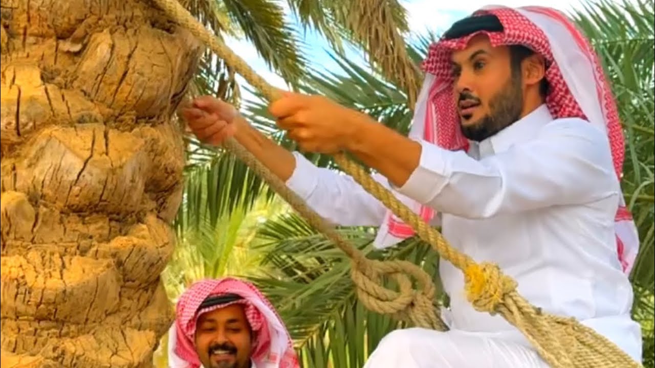 حلب البقر و إرضاع الماعز في مزرعة ابو عبدالله الطويرب