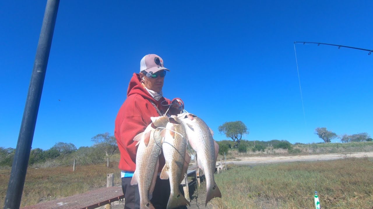Marsh Creek Maniacs: Low Tide Reds