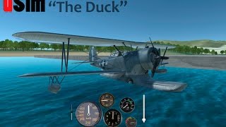 uSim  1.3 Grumman Duck Template