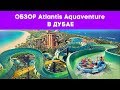 Дубай - Обзор Atlantis Aquaventure на Пальме (Dubai Atlantis)