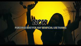 Afrobeat Type Beat 2026 - \