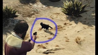 Grand Theft Auto V - Stun Gun screenshot 5