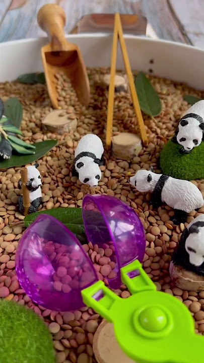 #Panda #Smallworld sensory bin  #montessori #sensoryplay #sensory #sensorybin #homeschool