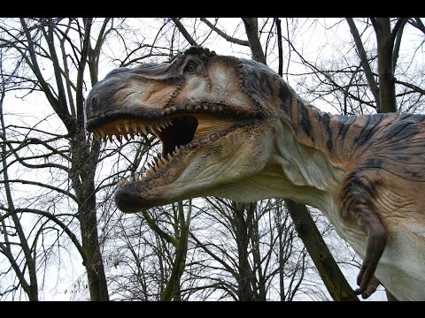 Video: Ovatko kaikki dinosaurukset rajuja?