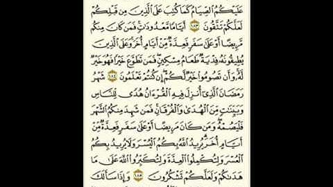 سورة البقرة ( 182 ـ 186 ) سعد الغامدي ( 28 )