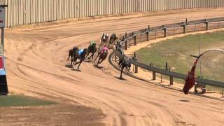 Mt-Gambier-05022016-Race-6