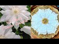 How I Make 3D Resin Flower Coaster / It Looks Like A White Clematis!