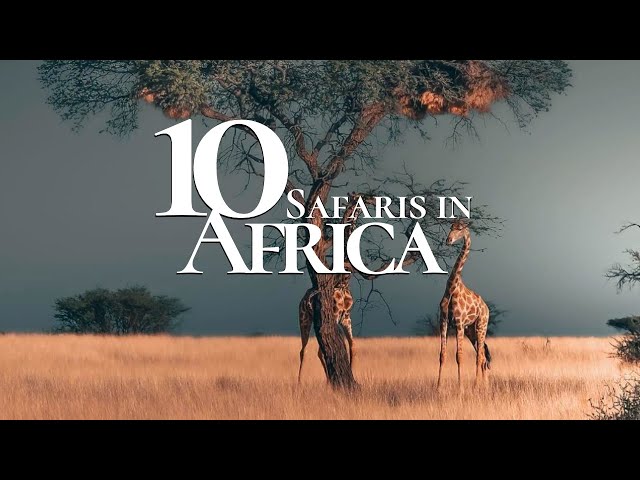 10 Most Beautiful Safaris to Visit in Africa 🐘 | Safari Travel Guide class=