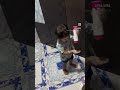 Badmashiyaa😂✨💖#shorts #short #trending #kids#funnyvideos