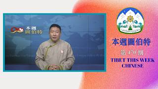 本週圖伯特第 470 期 2026 年 2 月 7 日 Tibet This Week Chinese