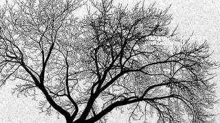 Adriatique - Mr Creasy