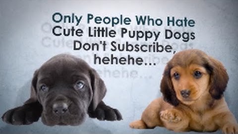 How To Make An Outro With Windows Live Movie Maker For Free