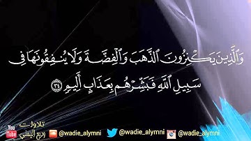 وديع اليمني وتلاوة بإبداع لا حدود له - يريدون أن يطفئوا نور الله بأفواههم