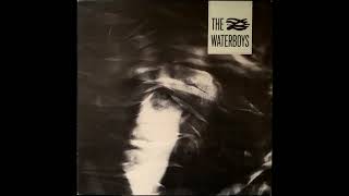 The Waterboys - It Should Have Been You