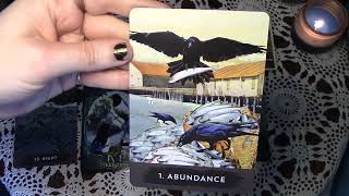 Your Spiritual Path Right Meow 🔮 Pick a Card Reading