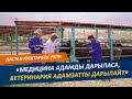 Малыңыз ооруса ветврачка кайрылыңыз!  ‘’Бруцеллез менен эхинококкоз адам өмүрүнө кооптуу’’ дейт