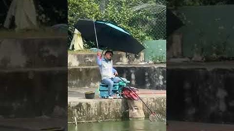 Vlogs 291 Báo cá - Hồ Đại Hoàng Gia; Đường Bạch Đằng, VSIP 2A, Vĩnh Tân, Tân Uyên, Bình Dương