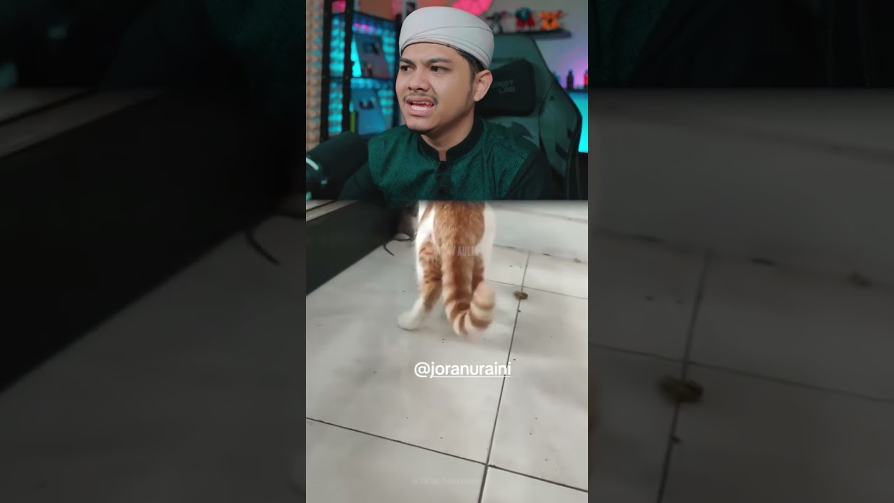 Tom n jerry terinspirasi dari ini ternyata🗿