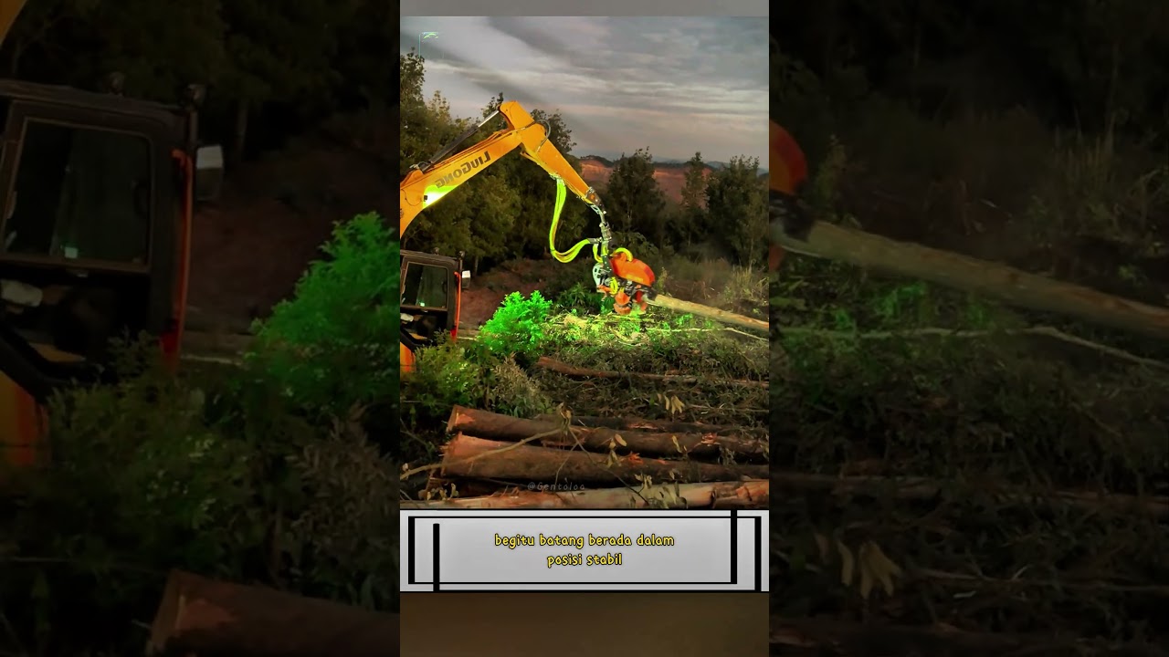 Alat Ini Bisa Tebang dan Bersihkan Pohon Sekaligus‼️😱