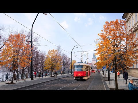 Video: V Roce Zbývají Tři Dny Volného Přístupu Do Národního Parku