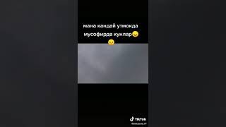 Мусофирда юрганларни узинг асрагин