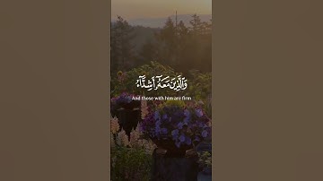 ماتيسر من سورة الفتح . القارى ياسر الدوسري#quran #قرآن #راحة_نفسية #foryou #fypシ #تلاوة_خاشعة #الله