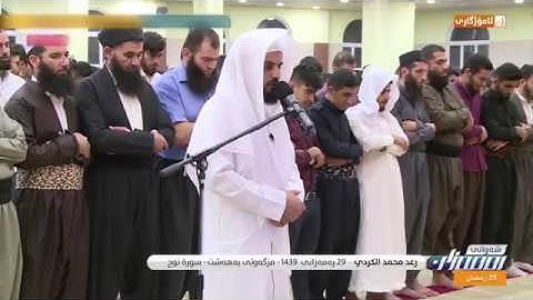 Сура 71 _ Нух ( سورة نوح ) чтец Раыд Мухаммад Курди - 2018 г