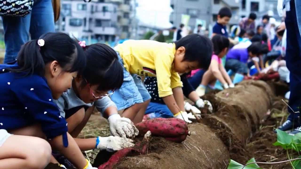 さつまいもちゃん ほくほく♪さつまいもちゃん首輪 選べるサイズ 猫ちゃん ワンちゃん