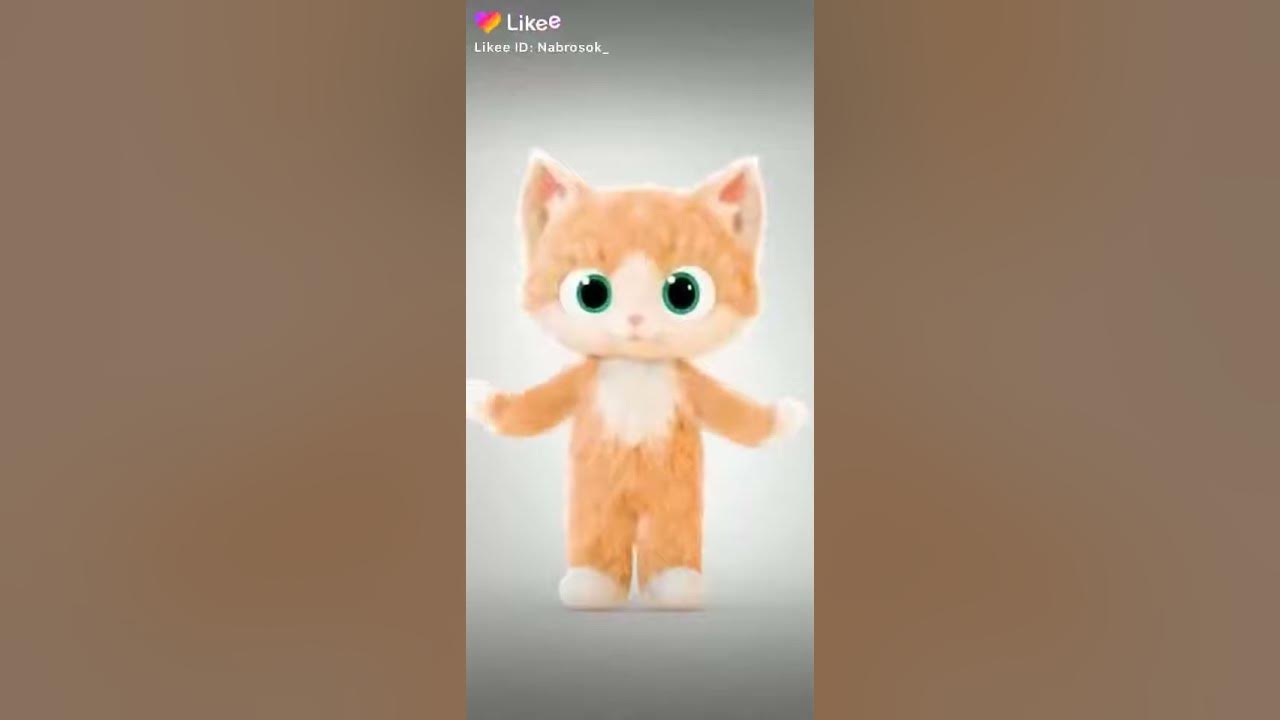 Крутой котик - YouTube