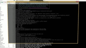 Neon accelerated framebuffer vncserver for bananian